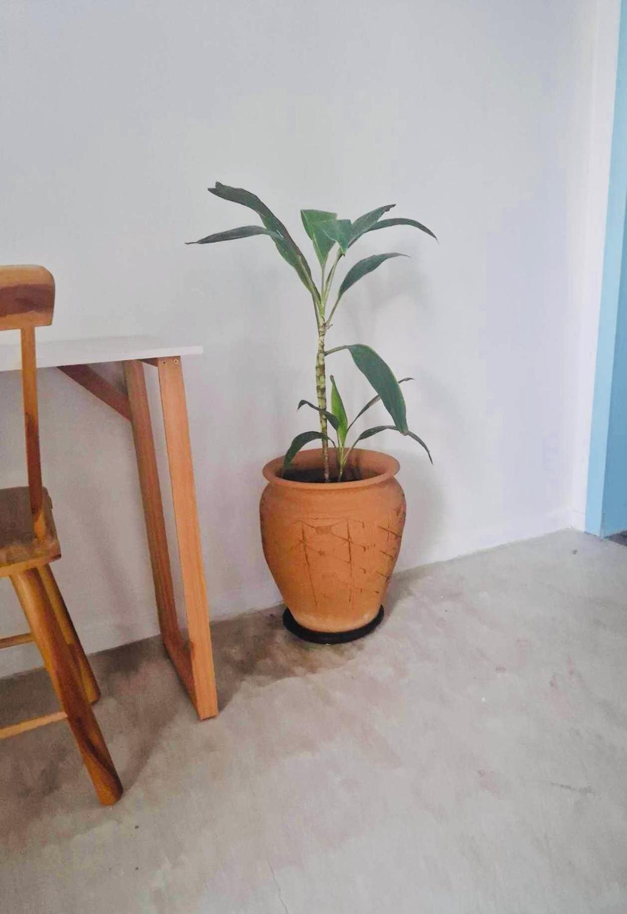 Villa Parazinho Paracuru Esterno foto